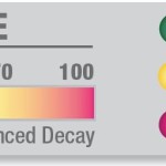 Canary Scale – for Marketing